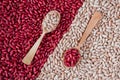 BackgroundÃÂ ofÃÂ differentÃÂ colorsÃÂ ofÃÂ beansÃÂ withÃÂ woodenÃÂ spoons Royalty Free Stock Photo